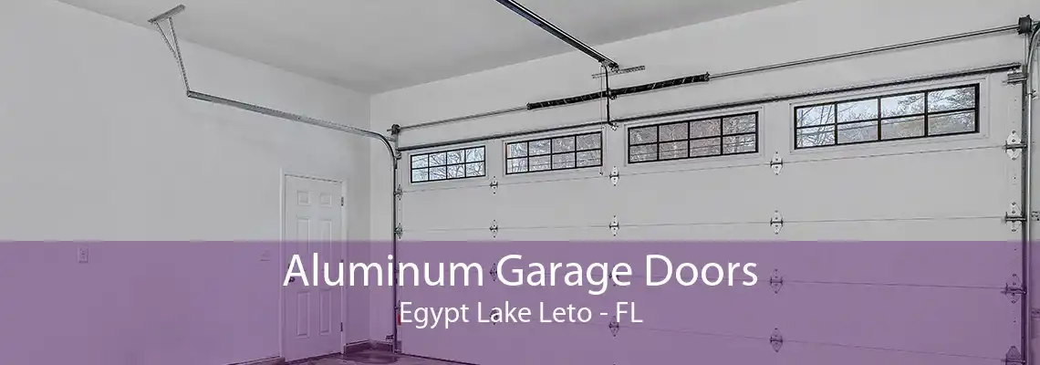 Aluminum Garage Doors Egypt Lake Leto - FL