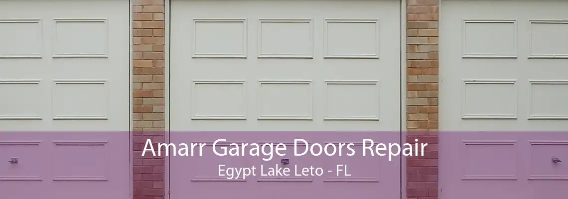 Amarr Garage Doors Repair Egypt Lake Leto - FL