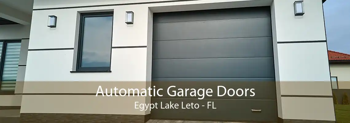 Automatic Garage Doors Egypt Lake Leto - FL