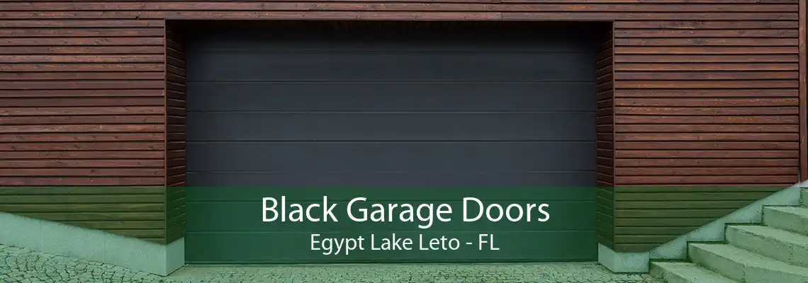 Black Garage Doors Egypt Lake Leto - FL