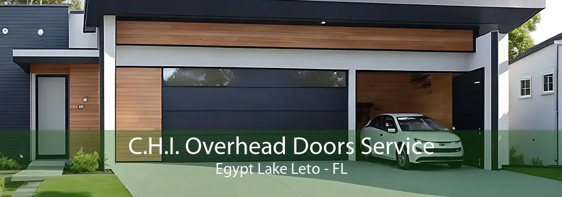 C.H.I. Overhead Doors Service Egypt Lake Leto - FL