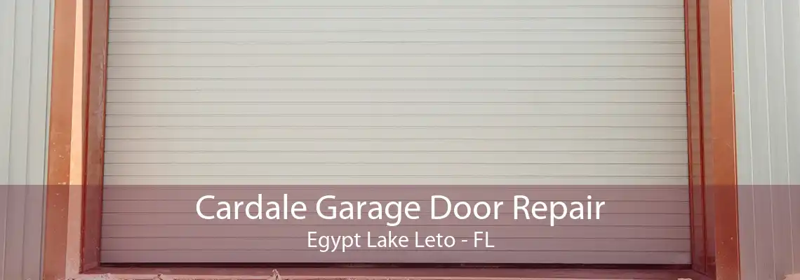 Cardale Garage Door Repair Egypt Lake Leto - FL