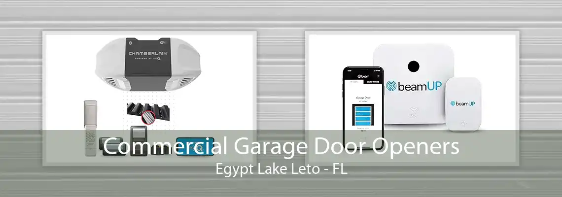 Commercial Garage Door Openers Egypt Lake Leto - FL