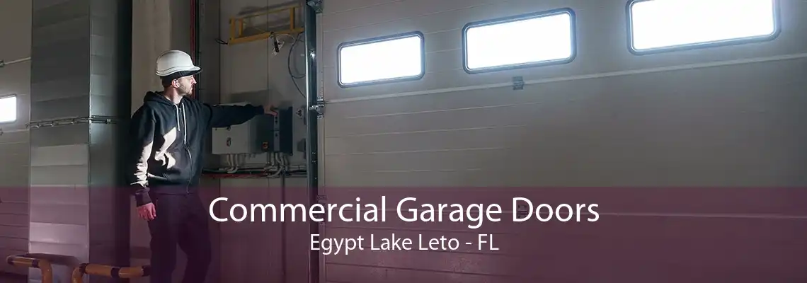 Commercial Garage Doors Egypt Lake Leto - FL