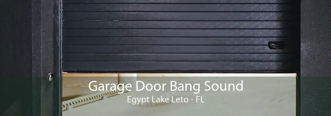 Garage Door Bang Sound Egypt Lake Leto - FL