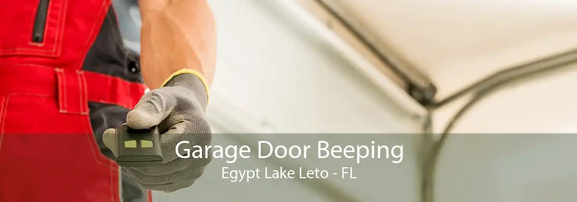 Garage Door Beeping Egypt Lake Leto - FL