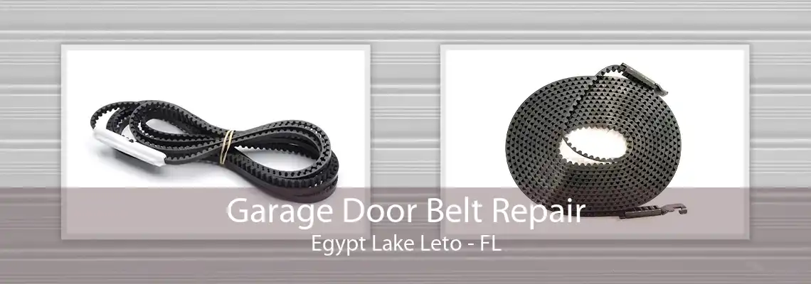 Garage Door Belt Repair Egypt Lake Leto - FL