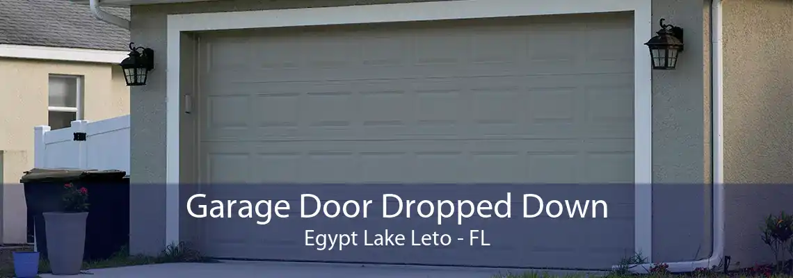 Garage Door Dropped Down Egypt Lake Leto - FL