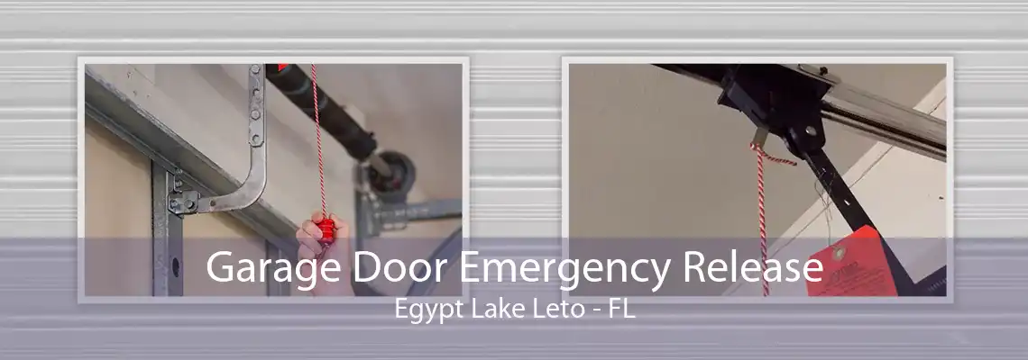 Garage Door Emergency Release Egypt Lake Leto - FL