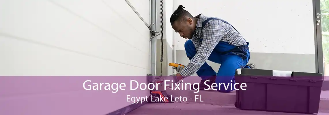 Garage Door Fixing Service Egypt Lake Leto - FL