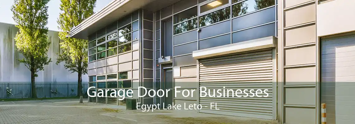 Garage Door For Businesses Egypt Lake Leto - FL