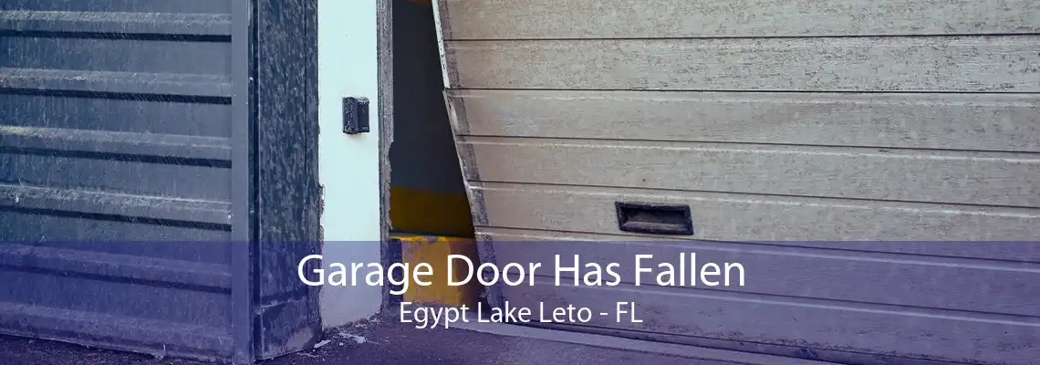 Garage Door Has Fallen Egypt Lake Leto - FL