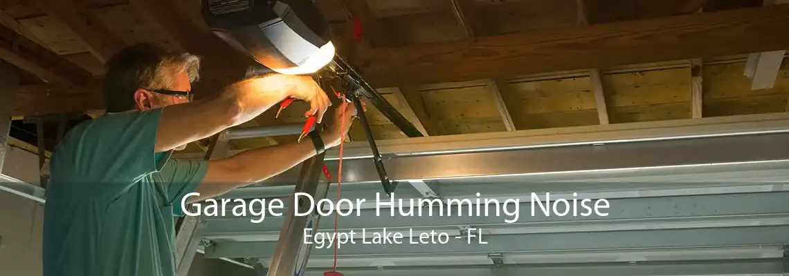 Garage Door Humming Noise Egypt Lake Leto - FL