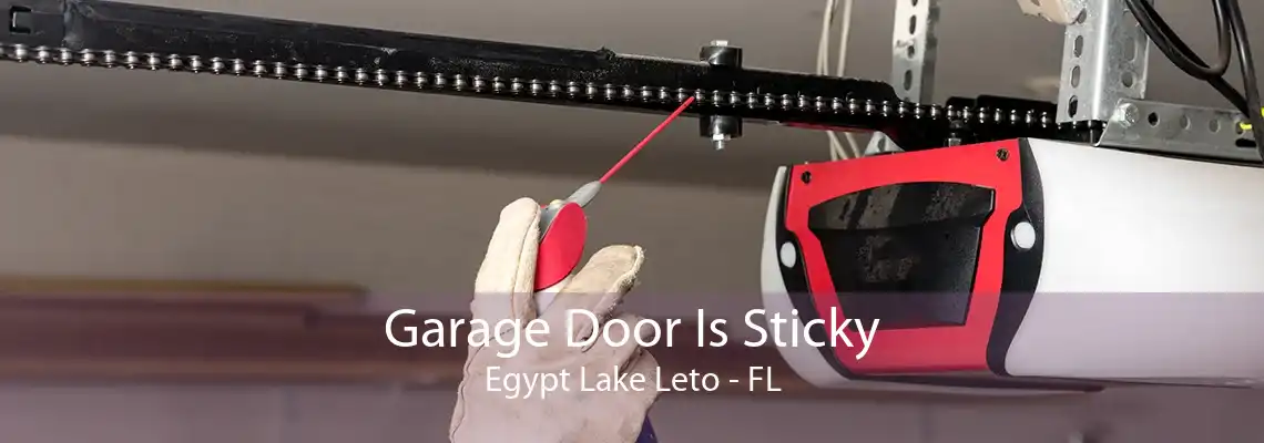 Garage Door Is Sticky Egypt Lake Leto - FL