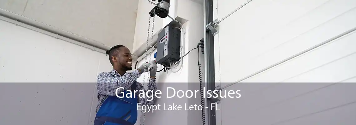 Garage Door Issues Egypt Lake Leto - FL