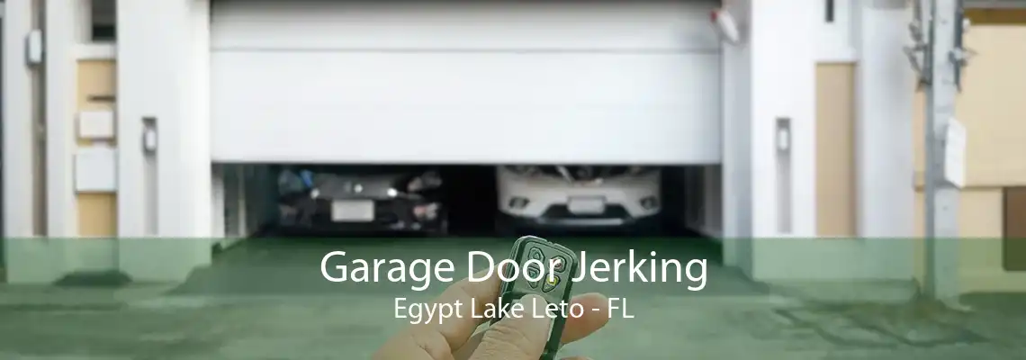 Garage Door Jerking Egypt Lake Leto - FL