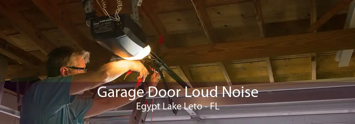 Garage Door Loud Noise Egypt Lake Leto - FL