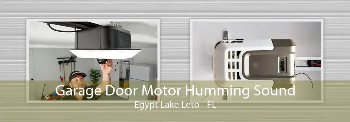 Garage Door Motor Humming Sound Egypt Lake Leto - FL