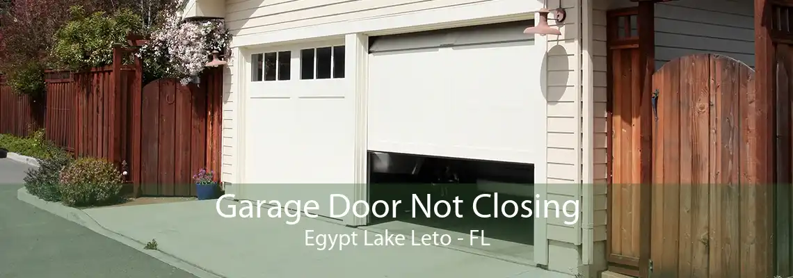 Garage Door Not Closing Egypt Lake Leto - FL