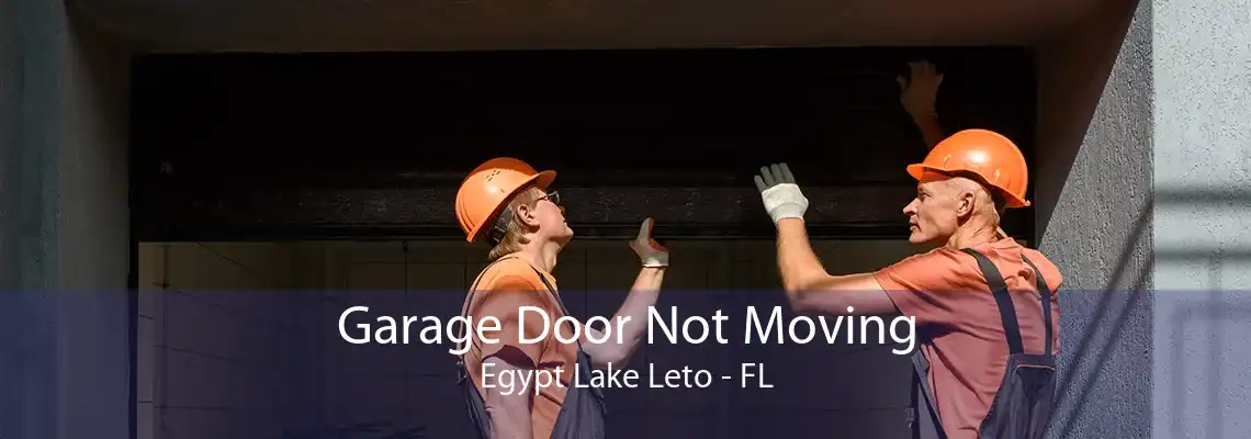 Garage Door Not Moving Egypt Lake Leto - FL