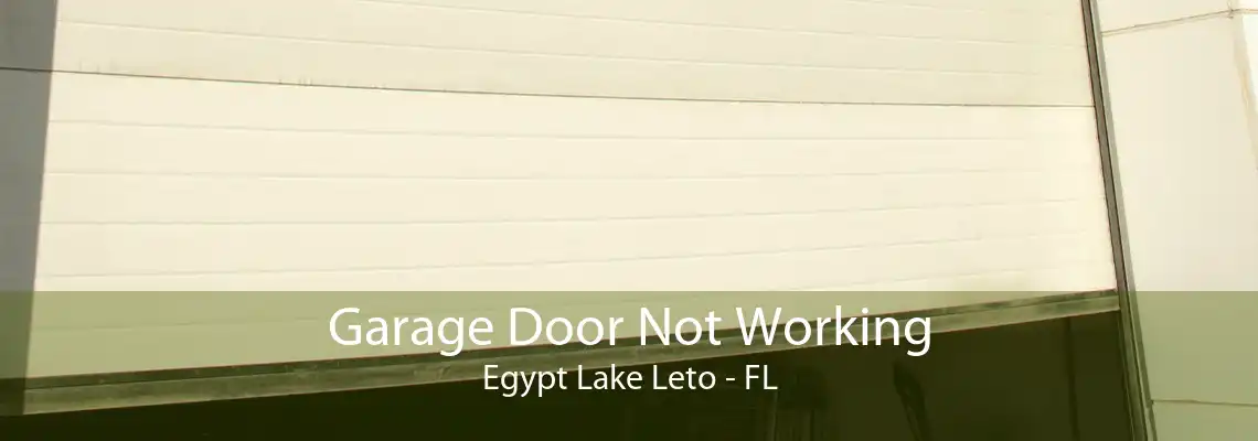 Garage Door Not Working Egypt Lake Leto - FL