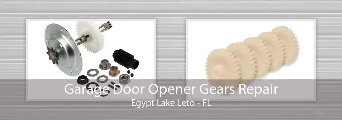 Garage Door Opener Gears Repair Egypt Lake Leto - FL