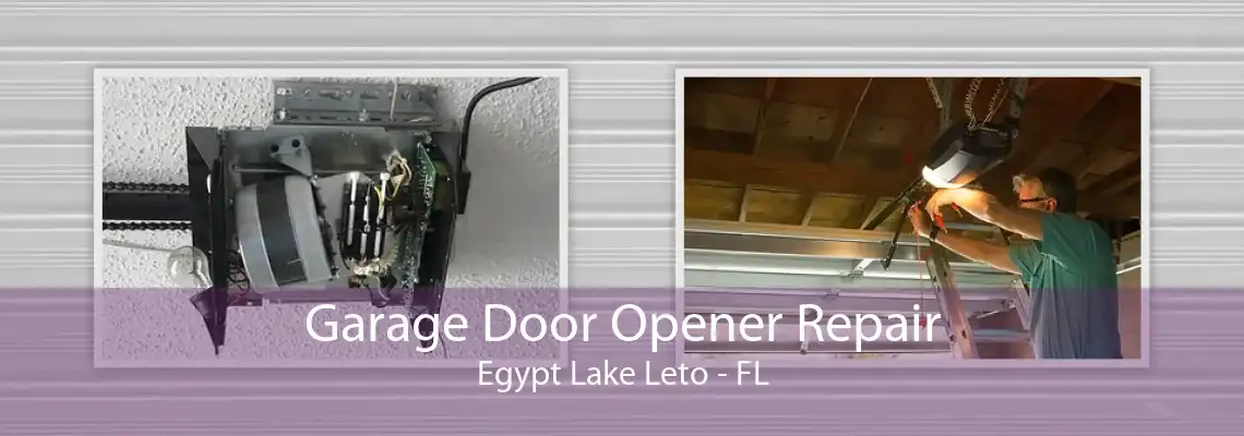 Garage Door Opener Repair Egypt Lake Leto - FL