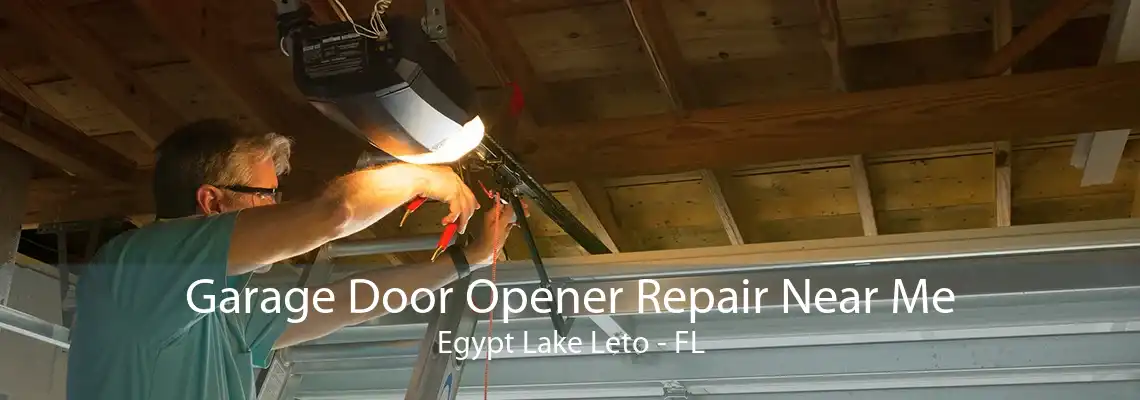 Garage Door Opener Repair Near Me Egypt Lake Leto - FL