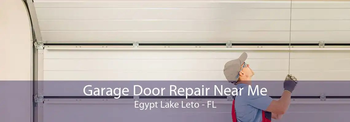 Garage Door Repair Near Me Egypt Lake Leto - FL