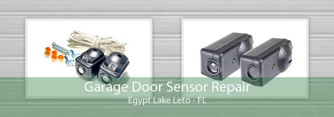 Garage Door Sensor Repair Egypt Lake Leto - FL