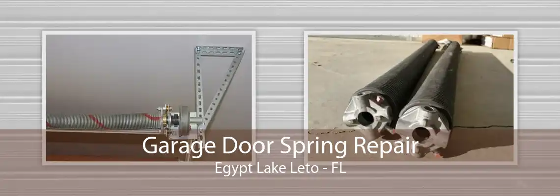 Garage Door Spring Repair Egypt Lake Leto - FL