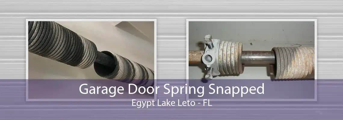 Garage Door Spring Snapped Egypt Lake Leto - FL