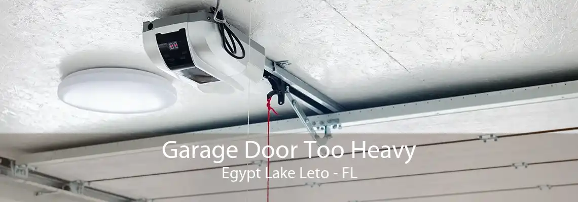 Garage Door Too Heavy Egypt Lake Leto - FL