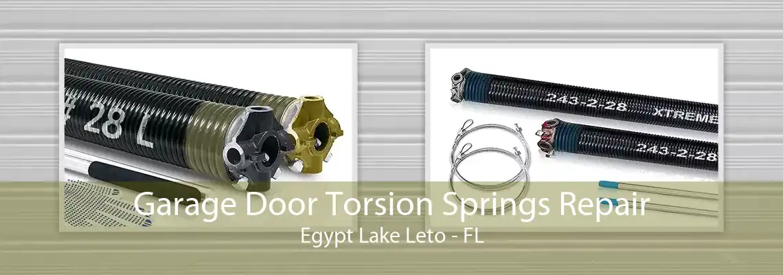 Garage Door Torsion Springs Repair Egypt Lake Leto - FL