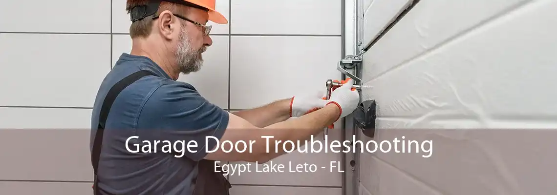 Garage Door Troubleshooting Egypt Lake Leto - FL