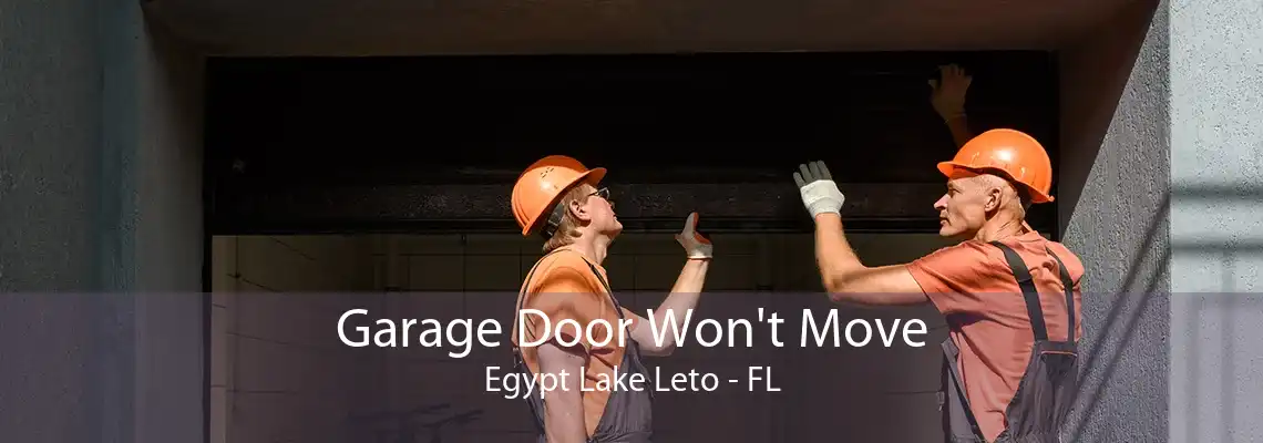 Garage Door Won't Move Egypt Lake Leto - FL