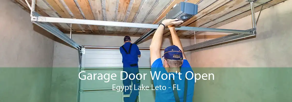 Garage Door Won't Open Egypt Lake Leto - FL