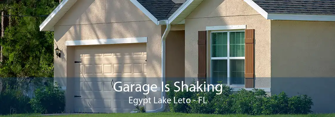 Garage Is Shaking Egypt Lake Leto - FL