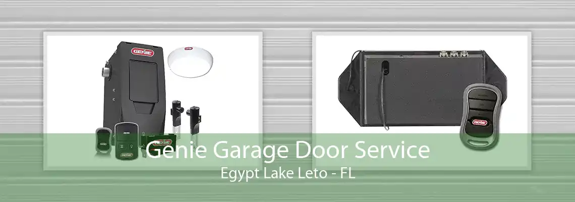 Genie Garage Door Service Egypt Lake Leto - FL