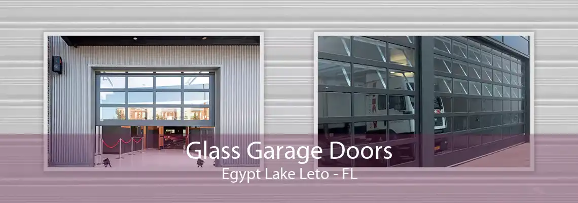 Glass Garage Doors Egypt Lake Leto - FL