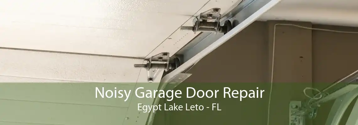 Noisy Garage Door Repair Egypt Lake Leto - FL