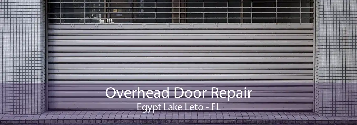 Overhead Door Repair Egypt Lake Leto - FL