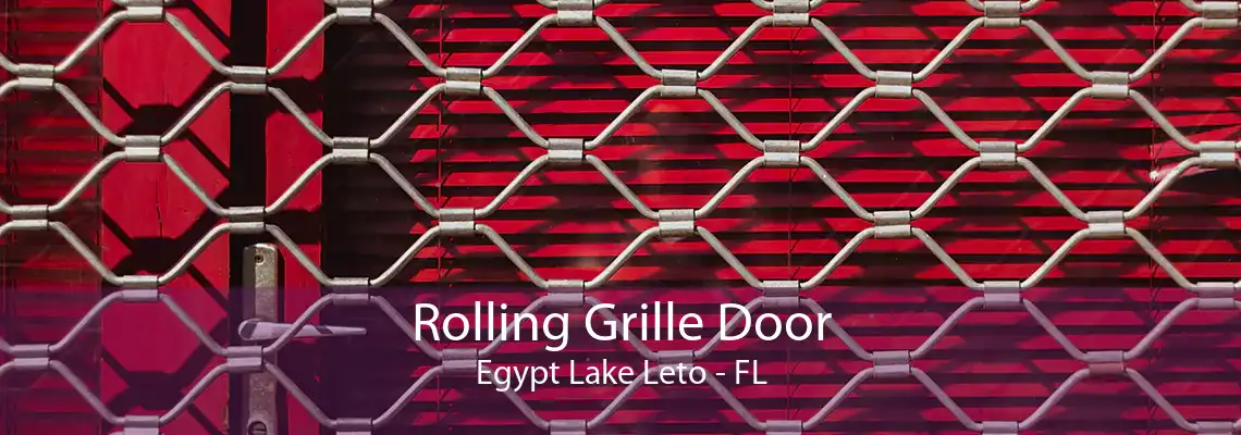 Rolling Grille Door Egypt Lake Leto - FL