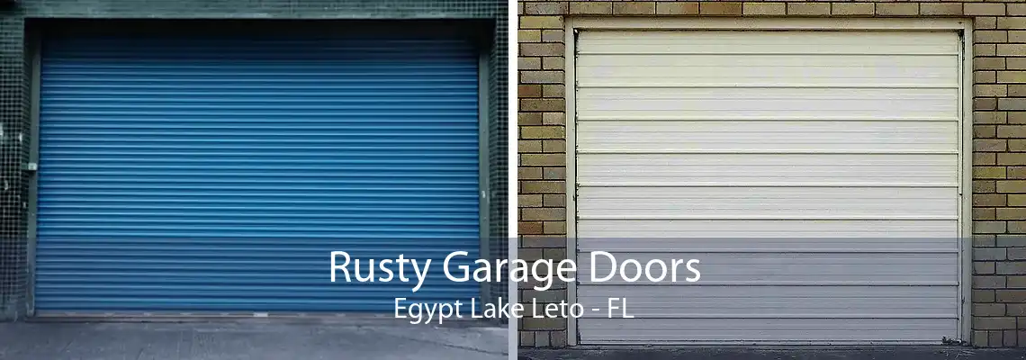 Rusty Garage Doors Egypt Lake Leto - FL