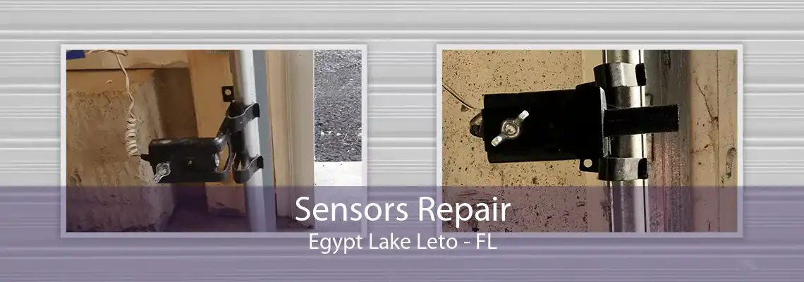 Sensors Repair Egypt Lake Leto - FL